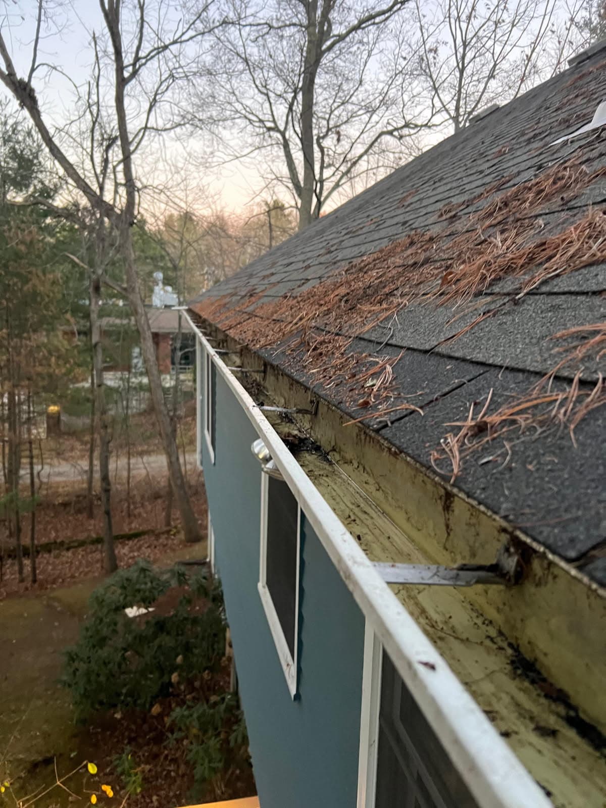 Project Seasonal Gutter Cleaning - Protect Your Home image