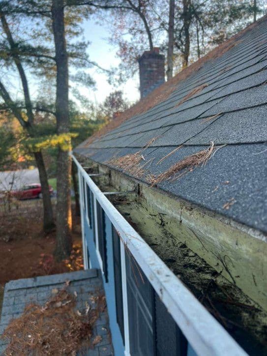 Gallery photos for Seasonal Gutter Cleaning - Protect Your Home: Image #2