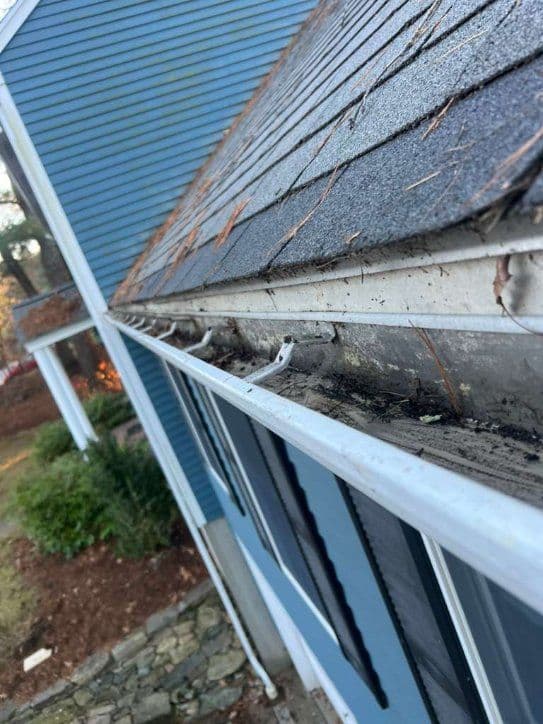 Gallery photos for Seasonal Gutter Cleaning - Protect Your Home: Image #3