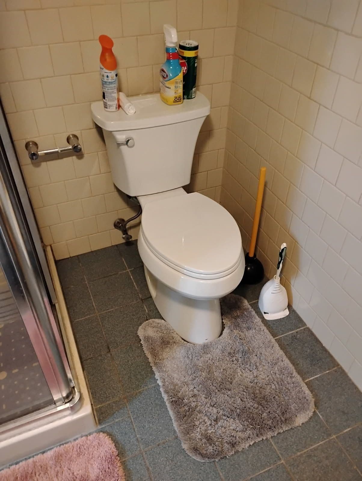 Project Efficient Bathroom Upgrade with New Toilet Installation image