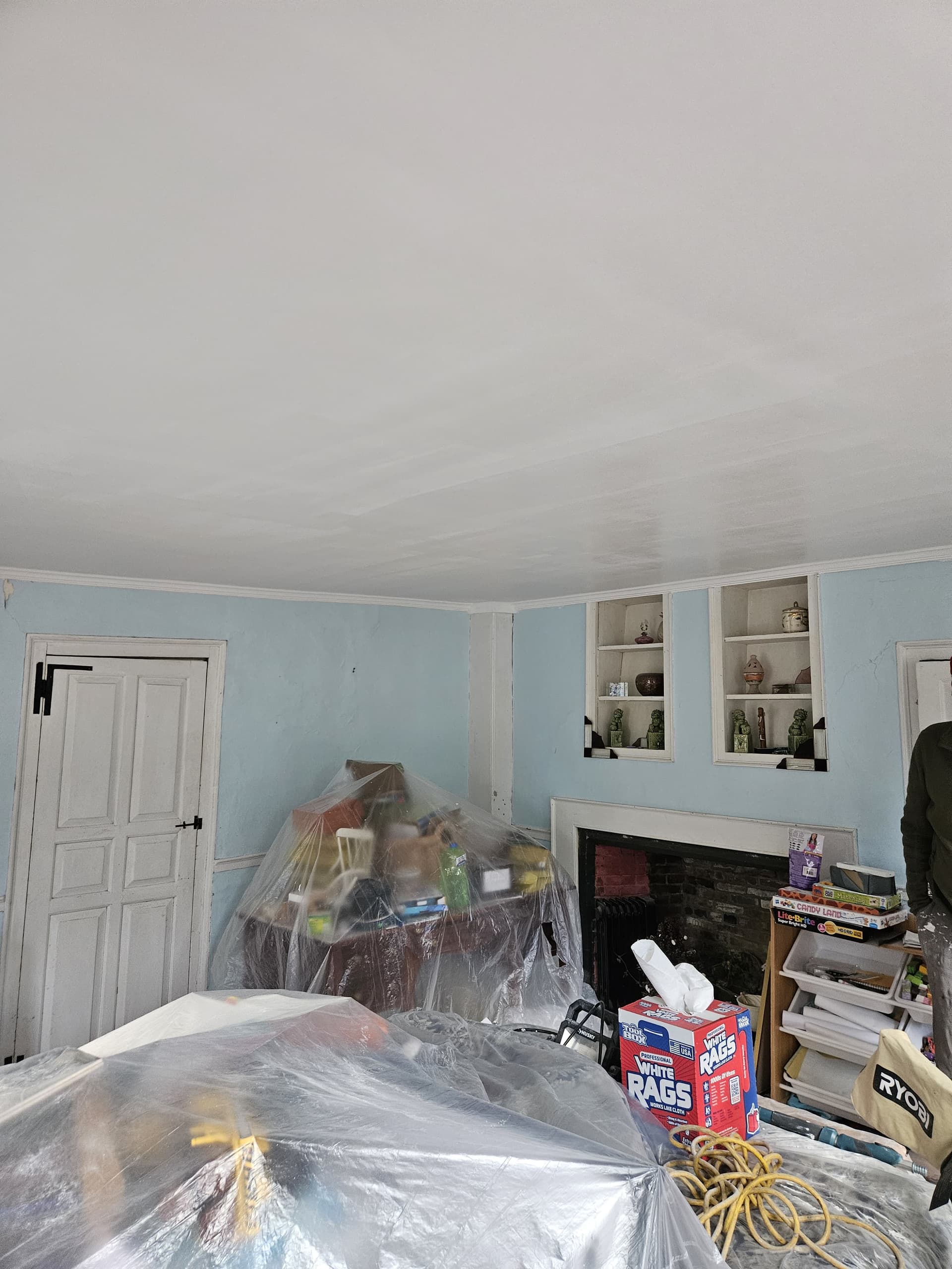 Bringing New Life to Your Living Spaces image